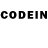 Псилоцибиновые грибы GOLDEN TEACHER Goracio Derodontovich