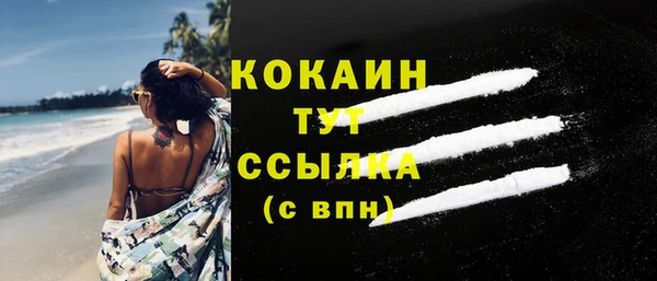 сатива Карталы