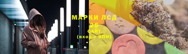 ГАЛЛЮЦИНОГЕННЫЕ ГРИБЫ Корсаков