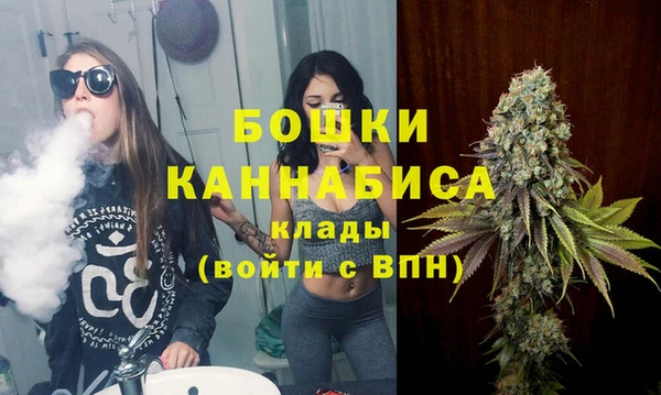шишки Киренск