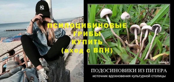 хмурый Козельск