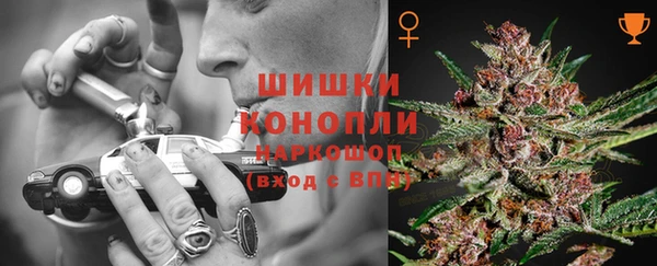 спиды Коряжма