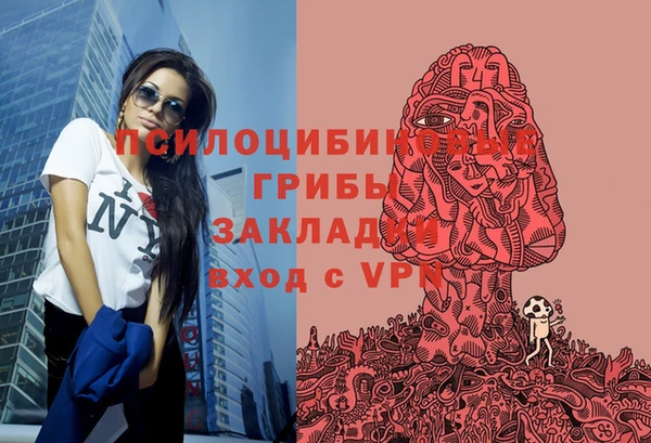 прущая мука Козловка
