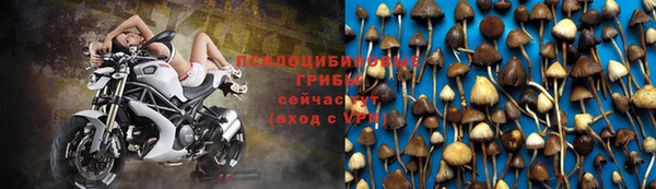 прущая мука Козловка