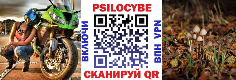 Псилоцибиновые грибы мицелий  KRAKEN ссылка  Кологрив 